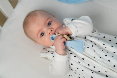 Pacifier clips